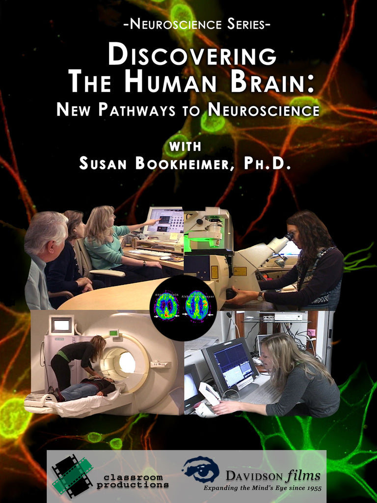 Discovering the Human Brain: New Pathways to Neuroscience With Susan Bookheimer, Ph.D.
